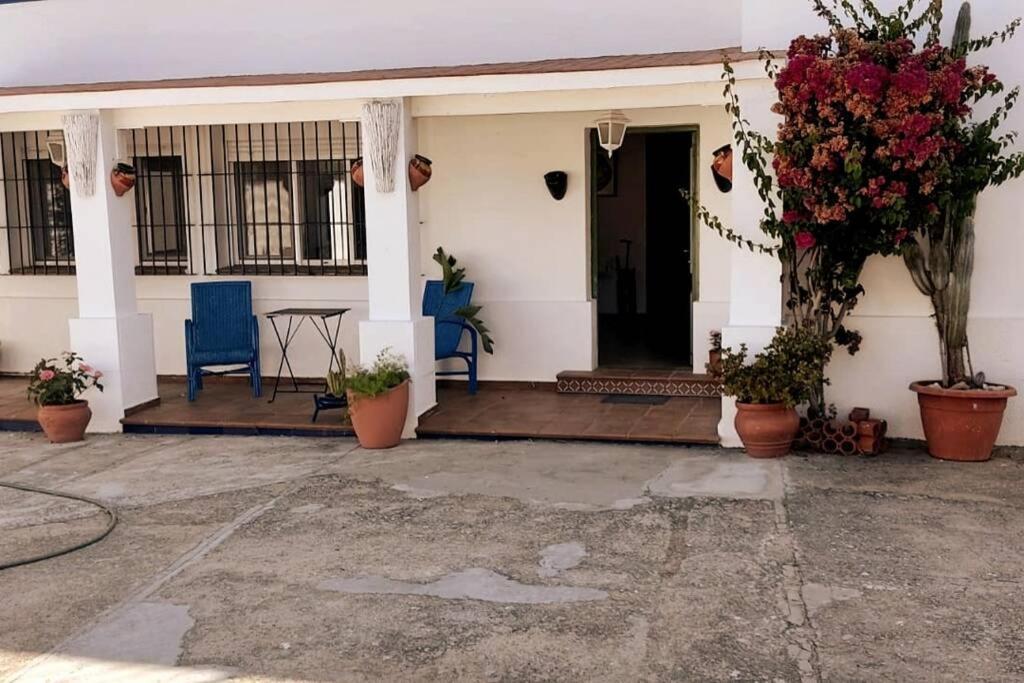Sagrado Corazon - Chalet Con Piscina, A 25M Playa Sanlúcar de Barrameda Buitenkant foto